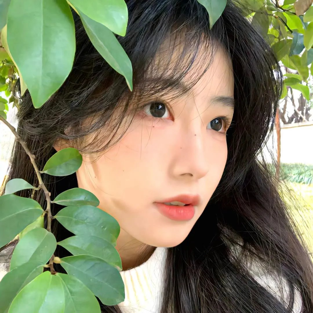 由吻生爱