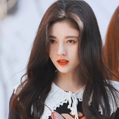 我和我的伙伴